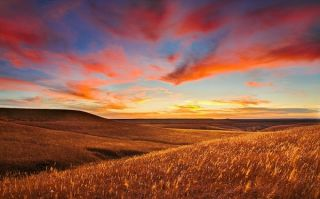 Image Credit - Judd Patterson